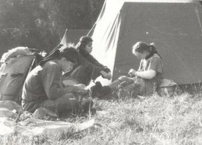 Perkun 1991